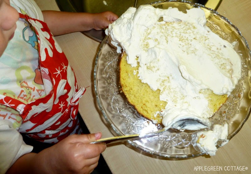 sponge cake - whipped cream