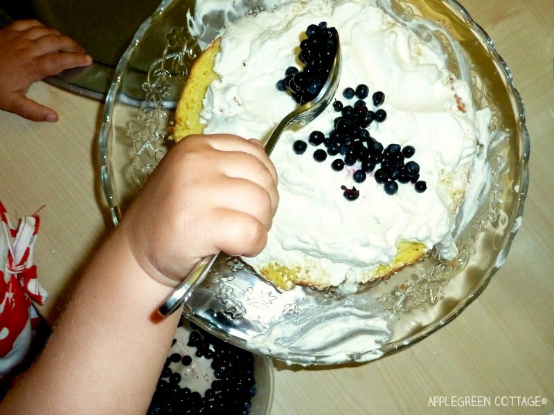 sponge cake - whipped cream and blueberries