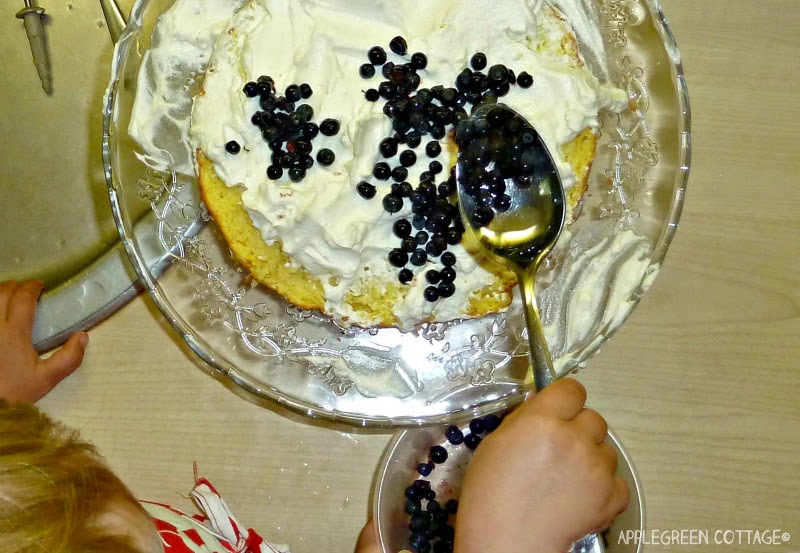 sponge cake - whipped cream and blueberries