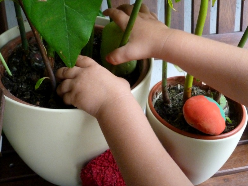 hands arranging diy garden markers in a plant pot