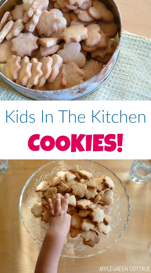 Late autumn is just perfect for baking at home with your toddler. It's too cold to play outside until evening, and the oven will add to the warmth of the place. And kids love working with cookie cutters!