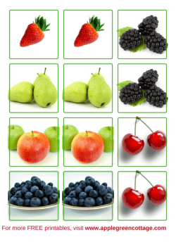 fruit printables