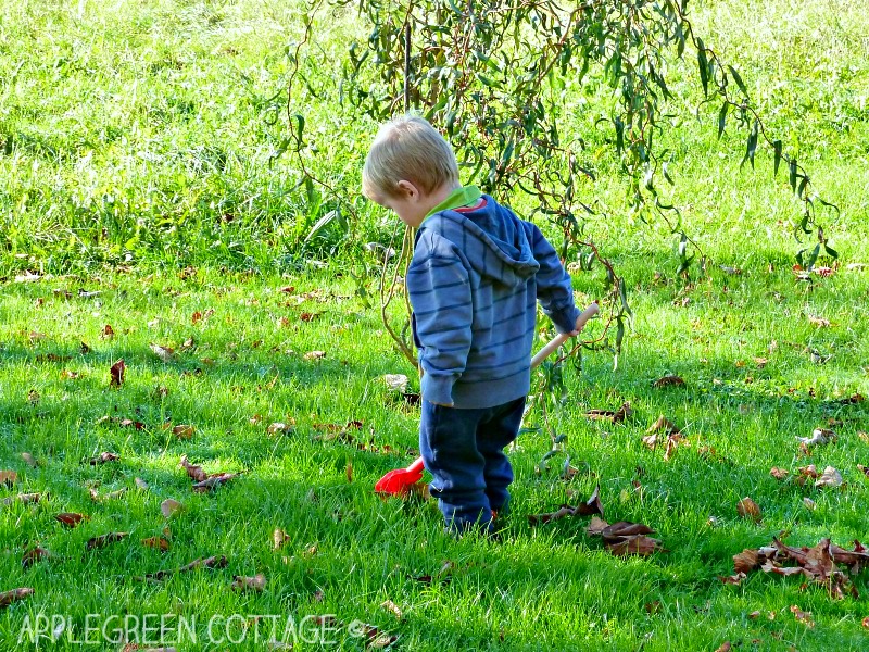 toddler in a jumpsuit raking leaves that have fallen from a tree