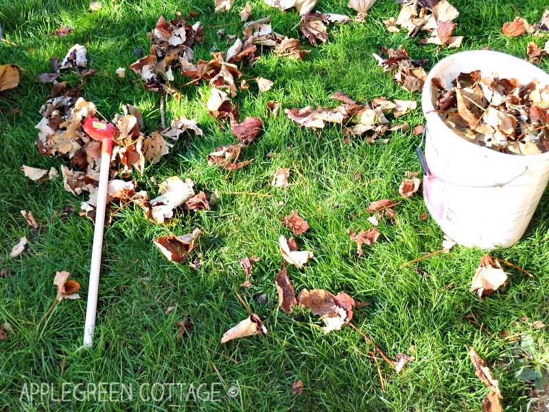 autumn outdoors