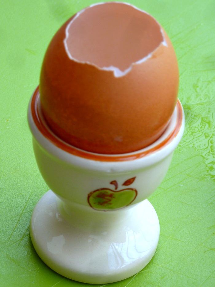 empty eggshells for starting seeds