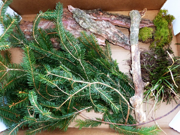 forest sensory bin and natural materials