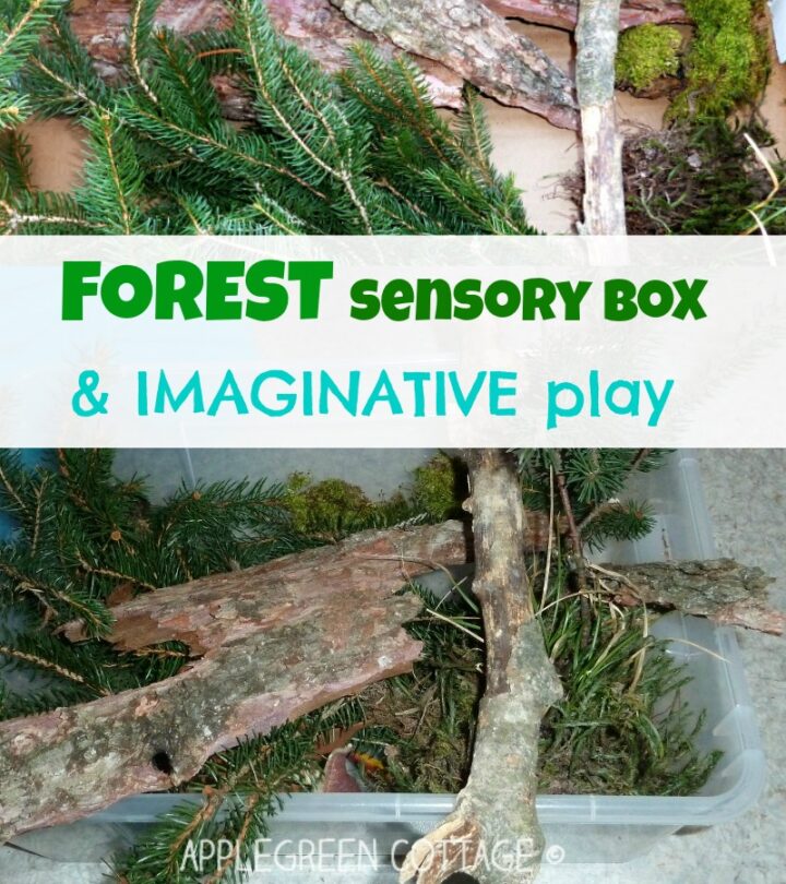 Sensory bin ideas - Forest