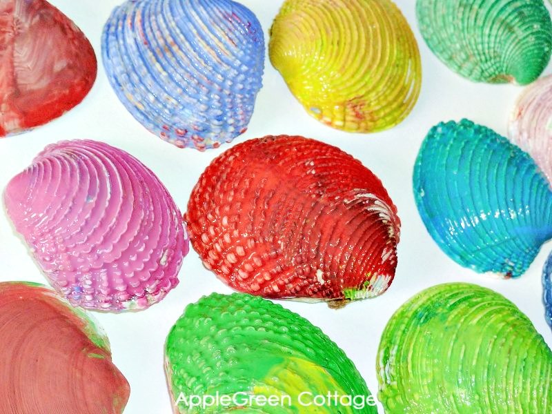 how to paint seashells