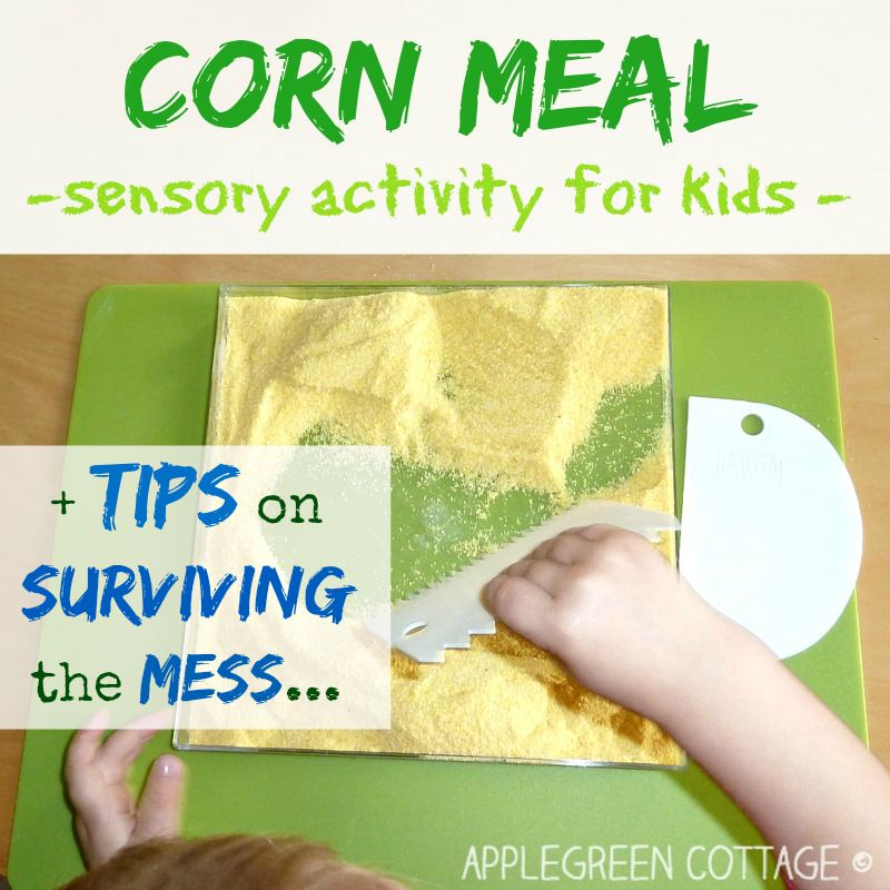 toddler sensory activity bin with corn meal