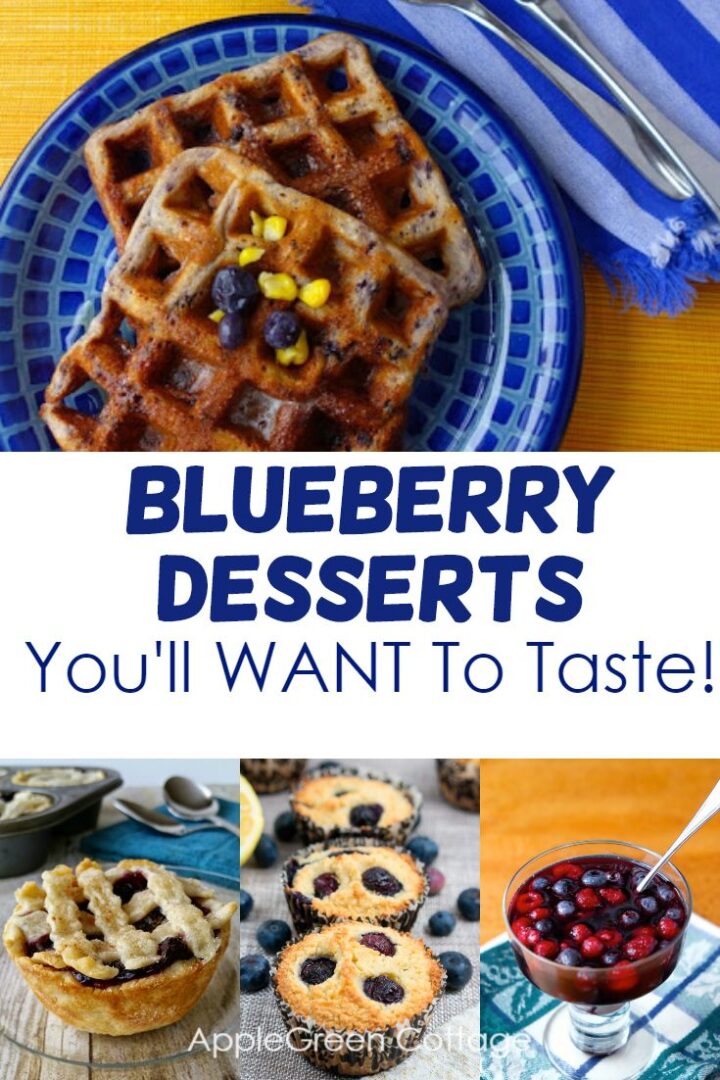 10 Delicious Blueberry Desserts You'll Want To Taste