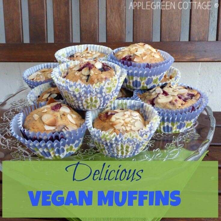 Super Easy Vegan Blueberry Muffin Recipe For Beginners! AppleGreen