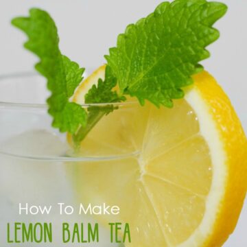 how to make lemon balm tea