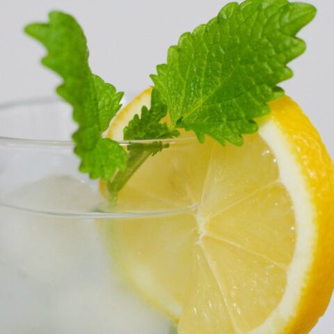 How to Make Lemon Balm Ice Tea