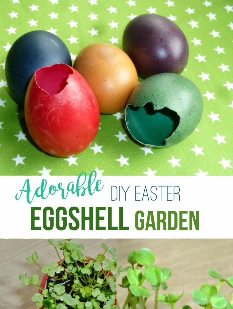 Eggshell Crafts This Easter Eggshell Garden! AppleGreen Cottage