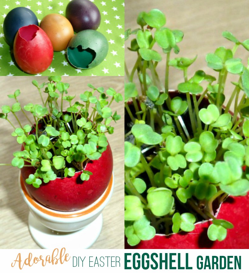 eggshell crafts eggshell crafts