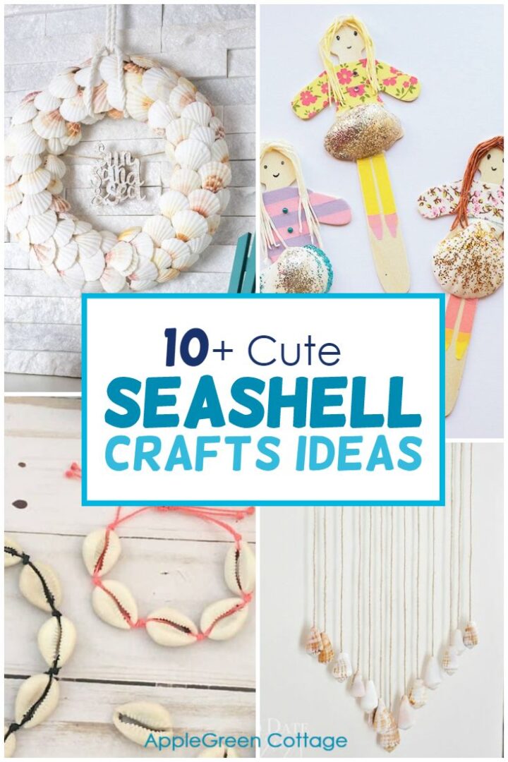 10+ Cutest Seashell Crafts Ideas You Simply Must Try This Summer!