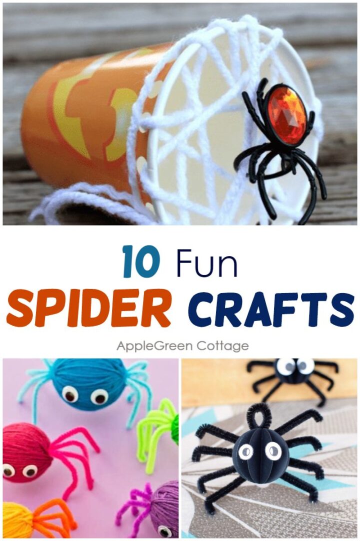 10 Awesome Spider Crafts for Kids to Make