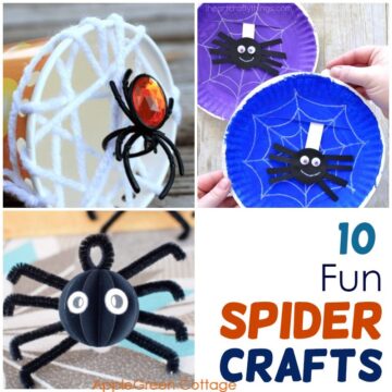 spider crafts