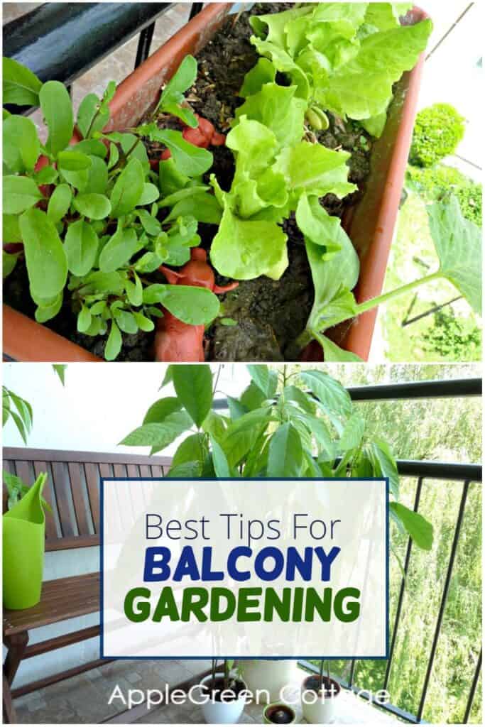 container gardening on a balcony