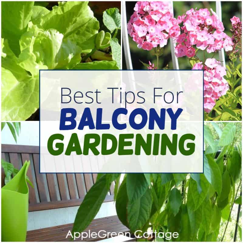 gardening on balcony