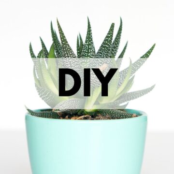 DIY