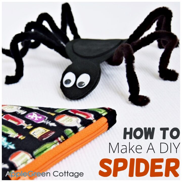 Pipe Cleaner Spider – LCCraft