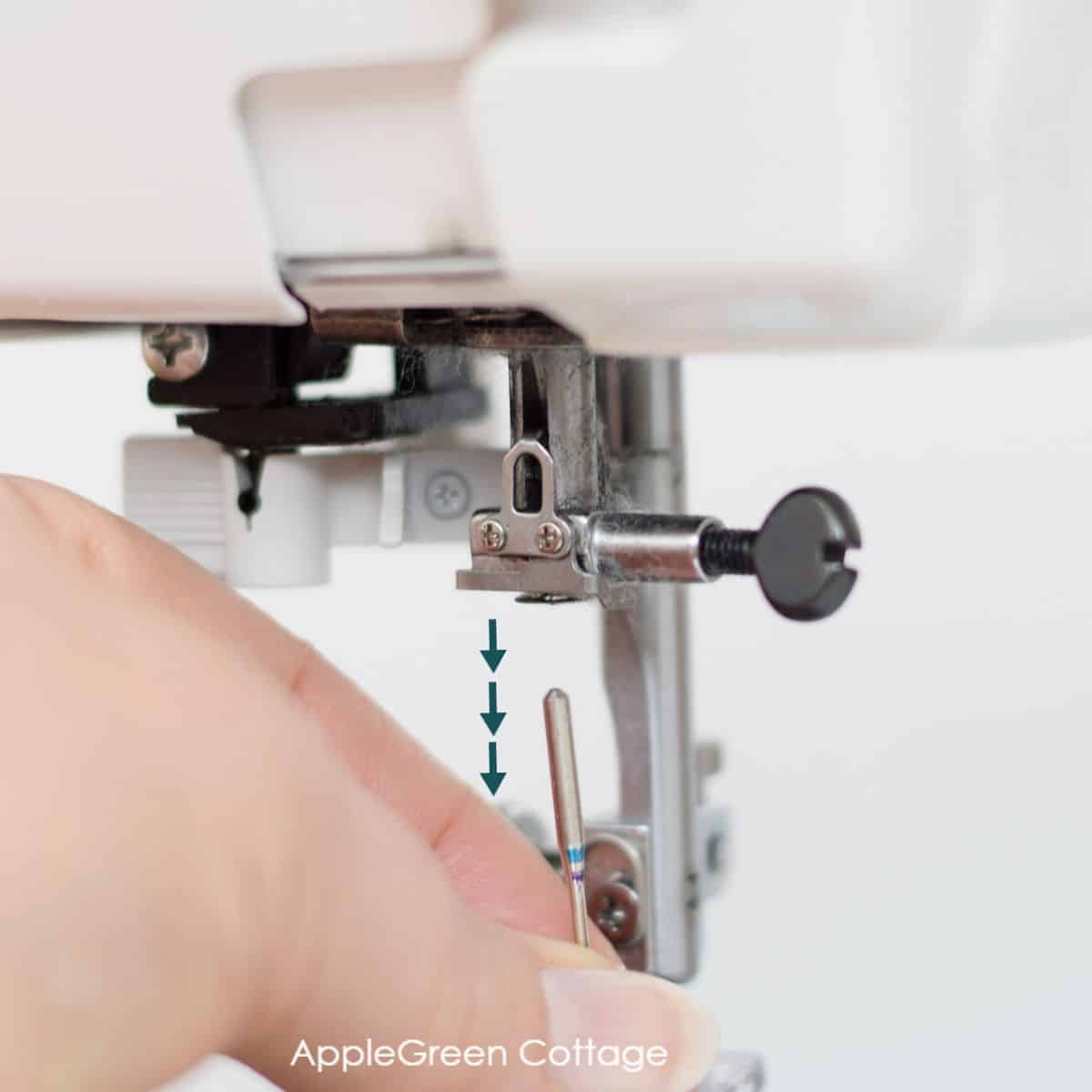 How to Insert a Sewing Machine Needle 