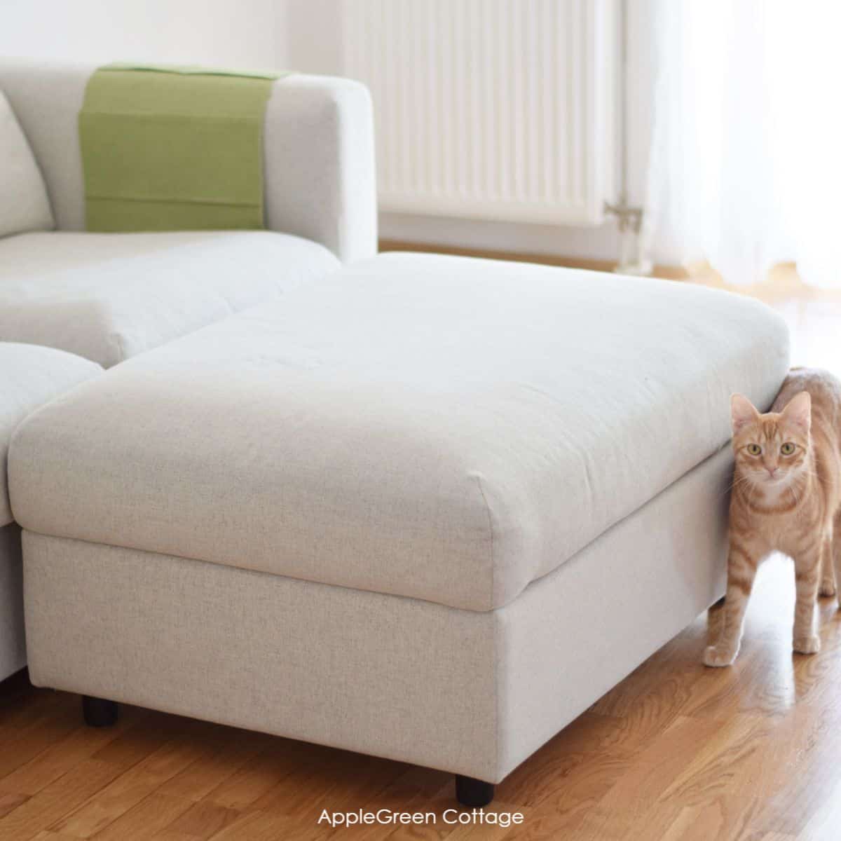 a large beige ottoman with hidden storage in a living room with a cat
