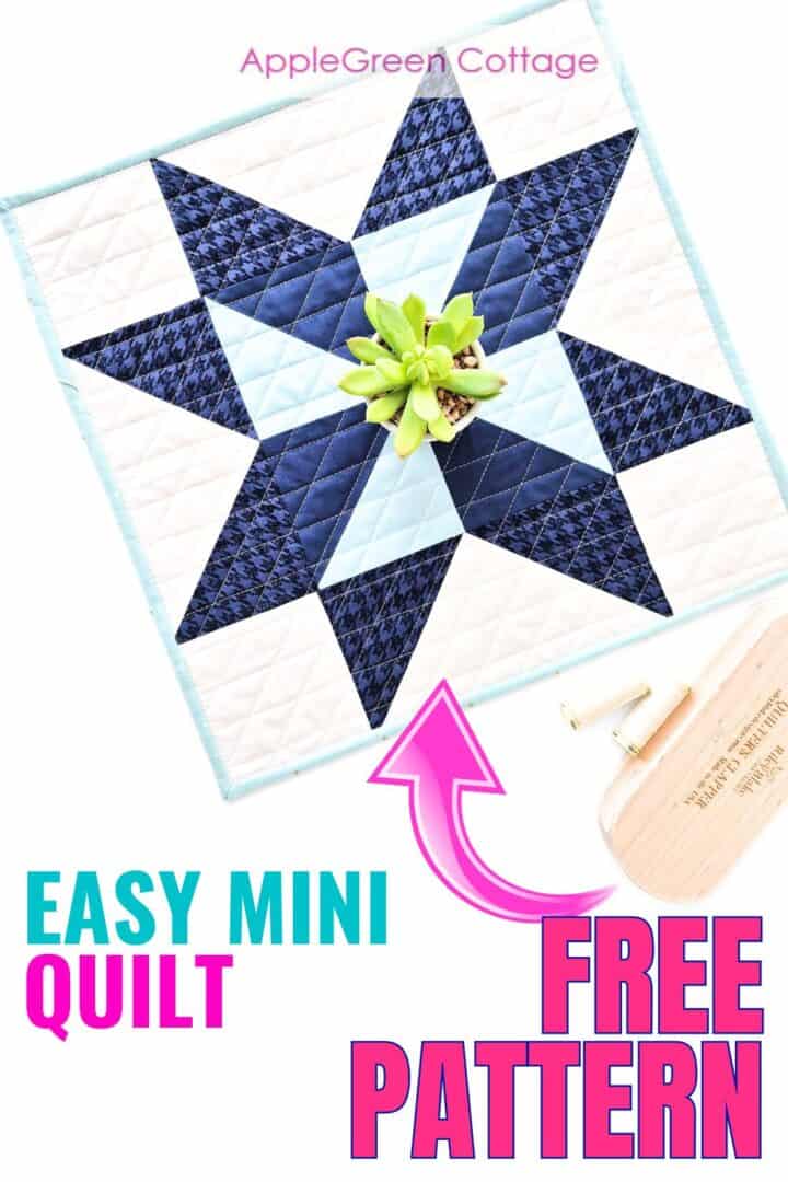 A small quilt with a pinwheel star block, placed flat on a white surface next to potted succulents.