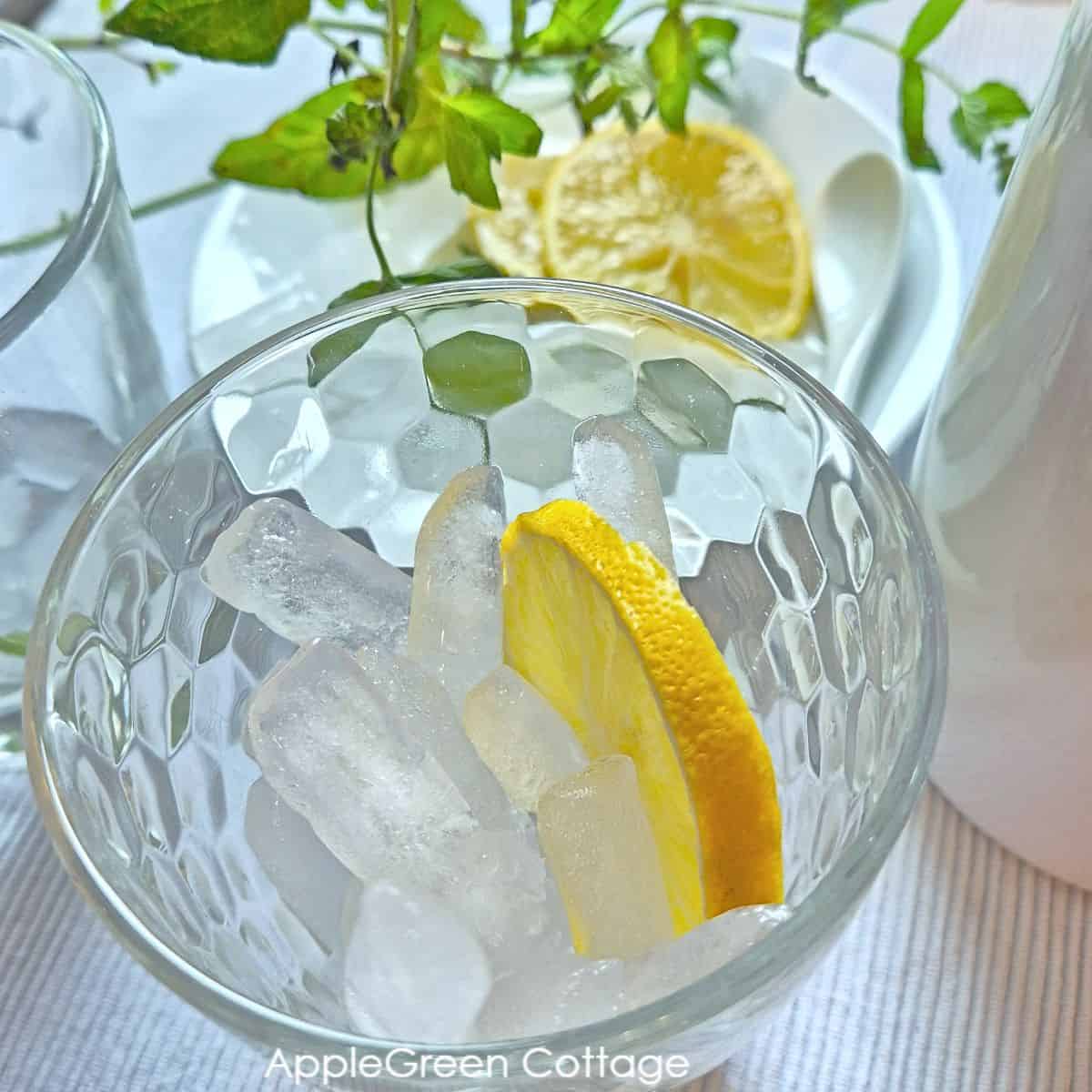 Glass with ice cubes, lemon slice, and mint sprig ready for fresh homemade mint tea.