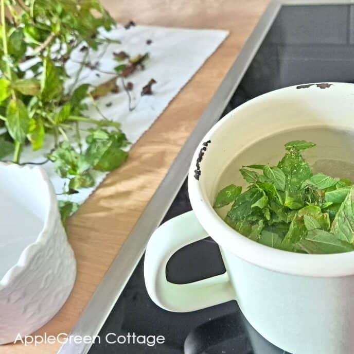 Fresh mint leaves steeping in hot water in a small white pot for homemade mint tea.