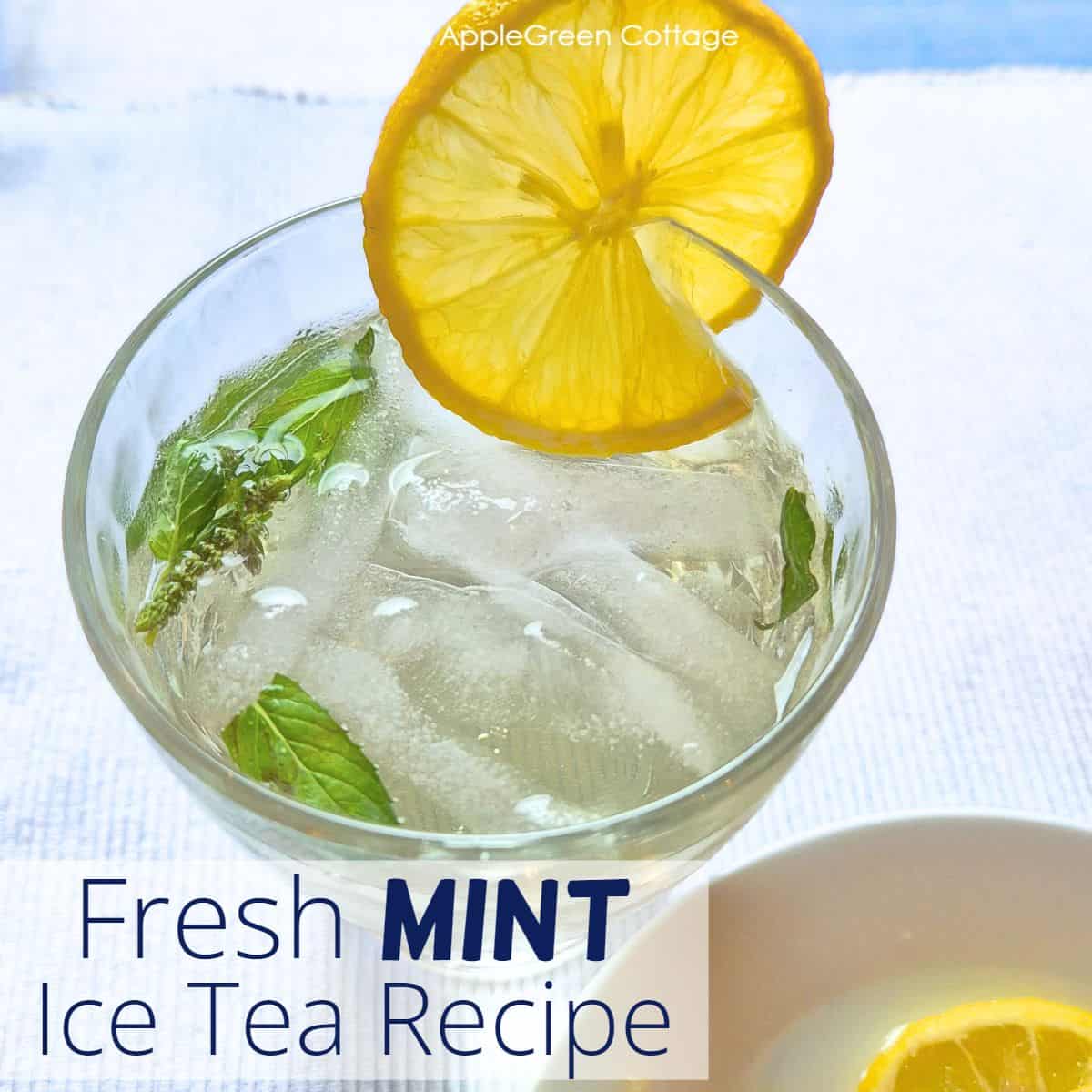 Fresh mint iced tea with ice and lemon made from fresh garden mint.